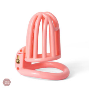 Cage de chasteté légère PriSonde Slave