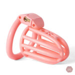 Cage de chasteté imprimée en 3D