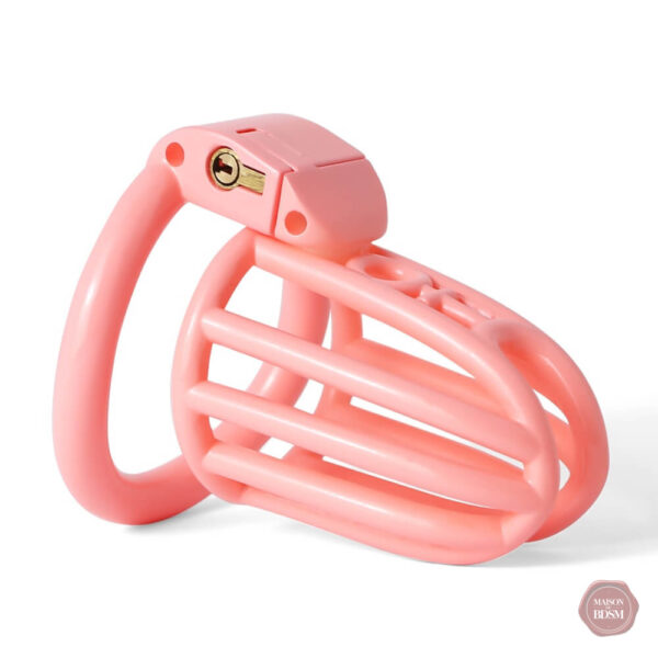 Cage de chasteté imprimée en 3D