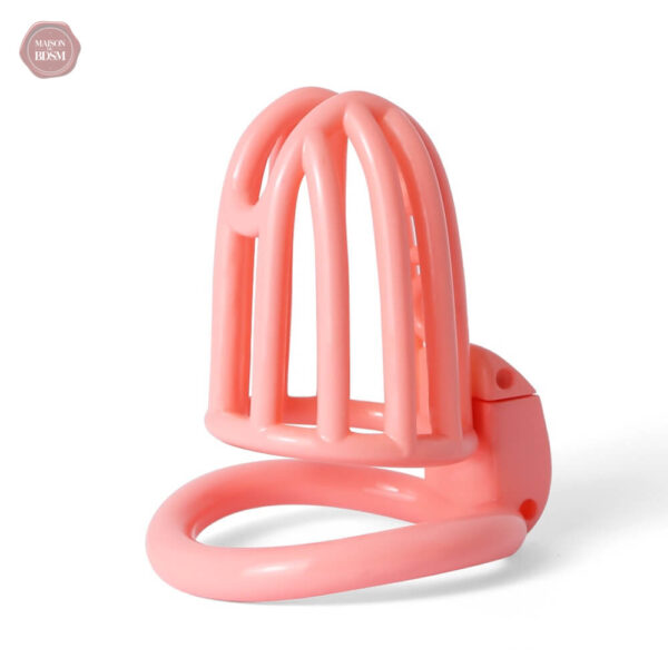 Cage de chasteté design moderne en 3D