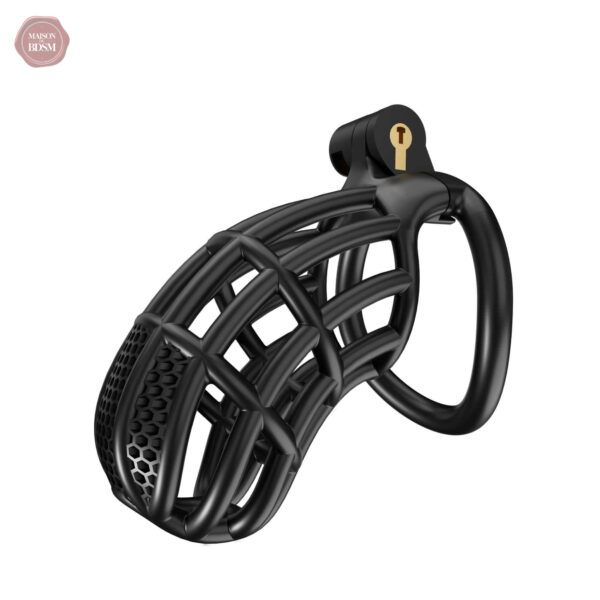 Cage de chasteté élégante et fonctionnelle