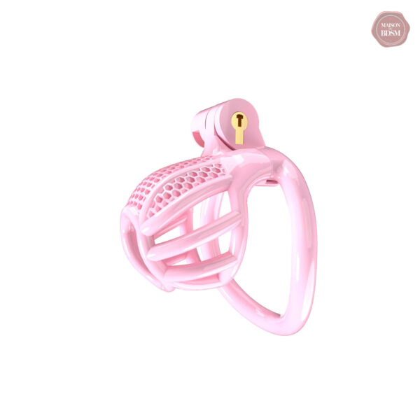 Cage de chasteté confortable et durable