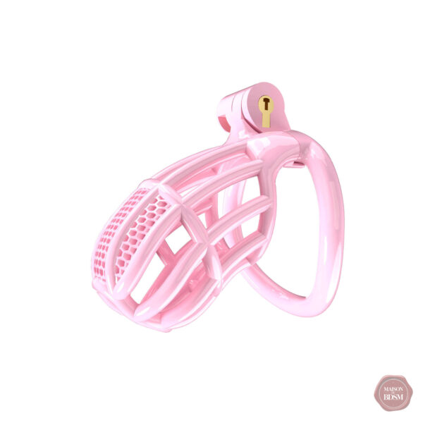 Cage de chasteté ajustable pour un bon maintien
