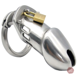Cage de chasteté métal GB 6000 L