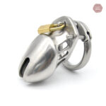 Accessoire de chasteté en acier, modèle GB 6000 S