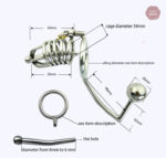 Cage de chasteté masculine, design en métal, plug anal inclus