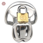 Viper S : cage de chasteté robuste et sécurisée