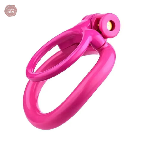 Cage de chasteté pour un testicule