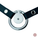 Cage de chasteté en acier massif avec ceinture