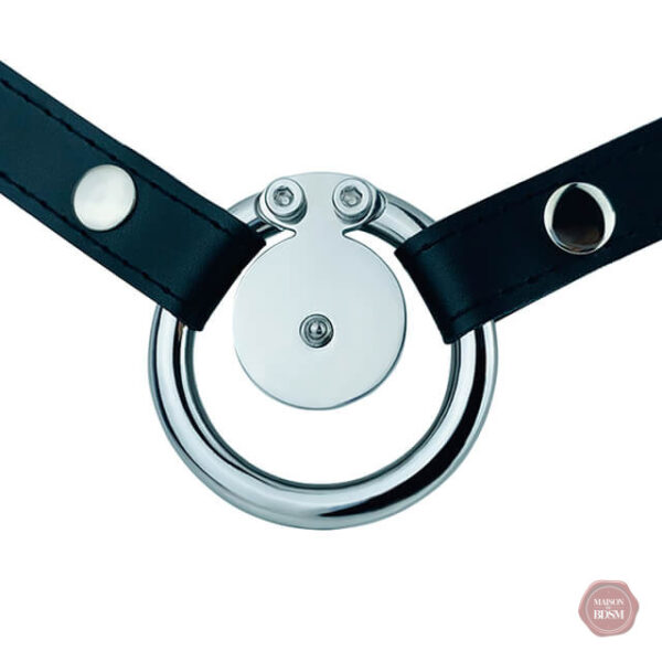 cage-de-chastete-negative-a-bille-en-acier-massif-ceinture-1 Cage de chasteté en acier massif avec ceinture