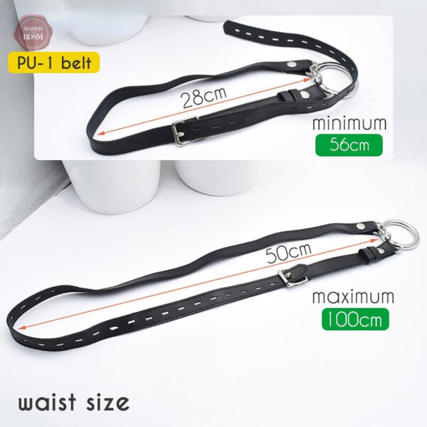 Cage de chasteté durable en métal avec design sécurisé