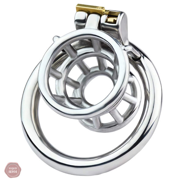 Cage de chasteté en métal, style unique et moderne
