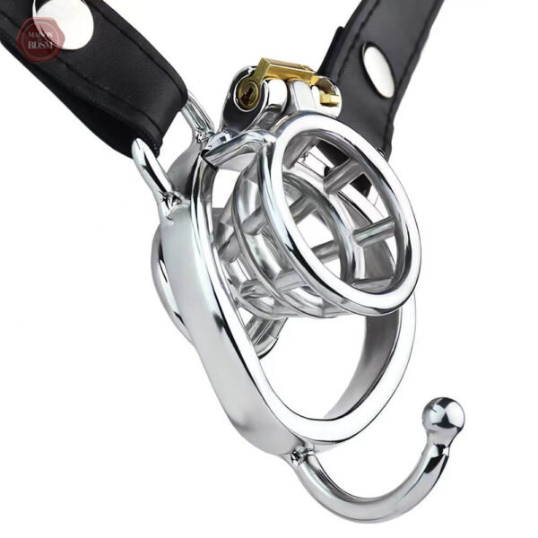 Cage de chasteté en métal, accessoire de jeu