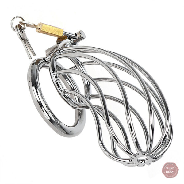Accessoire de chasteté oiseau pour expériences intenses