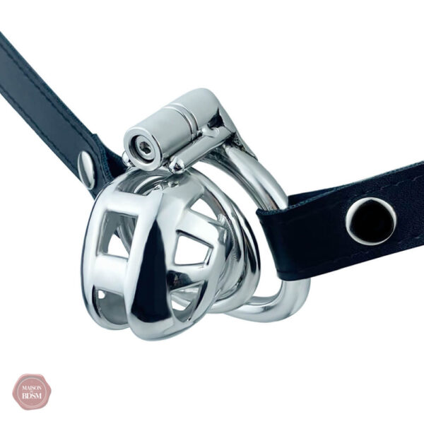 Cage de chasteté Micro Cobra avec ceinture