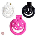 Cage de chasteté Sissy papillon modèle 3D