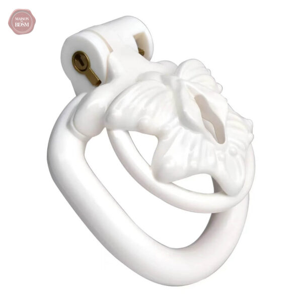 Cage Sissy papillon pour une expérience intime