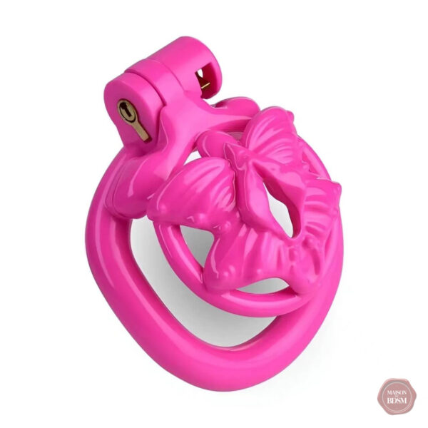 Cage petite Sissy avec finition 3D