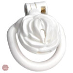 Cage de chasteté innovante pour Sissy Rose