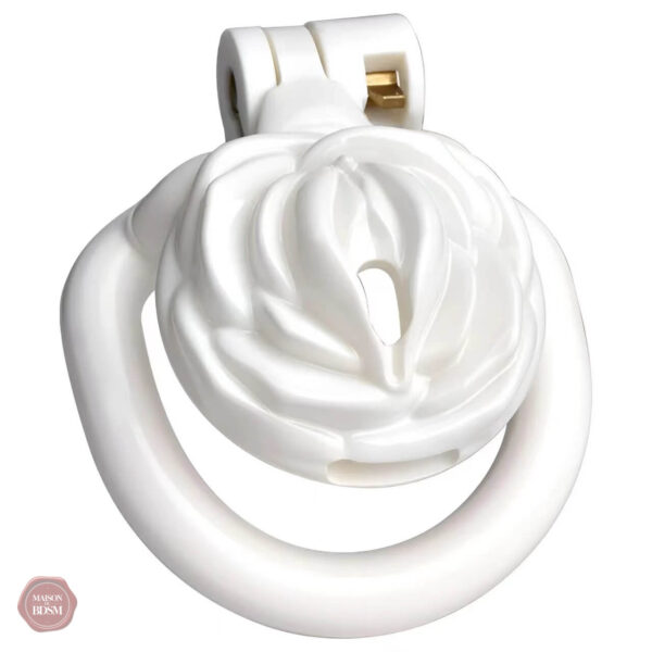 Cage de chasteté innovante pour Sissy Rose