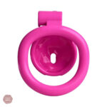Modèle 3D de cage de chasteté pour petite taille
