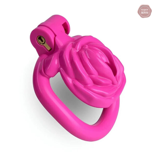 Cage de chasteté petite Sissy, style 3D