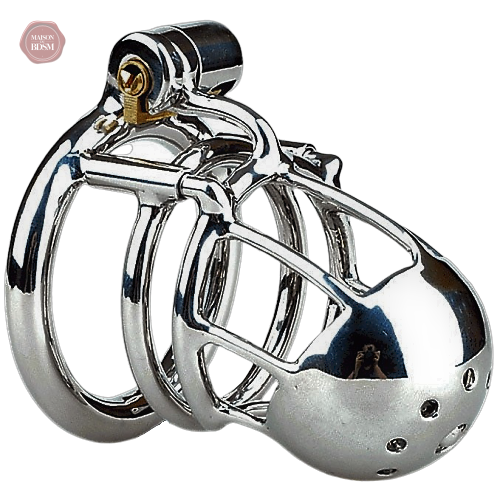 cage-de-chastete-piercing-prince-albert-1 Cage de chasteté pour piercing Prince-Albert