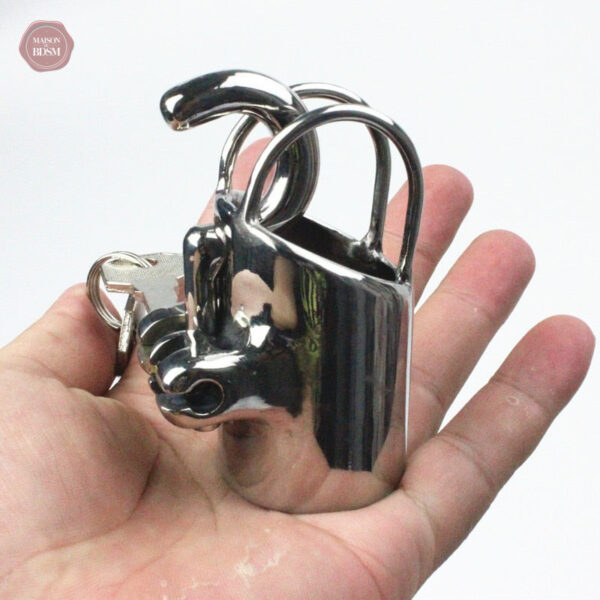 Cage de chasteté Prince-Albert pour jeux érotiques