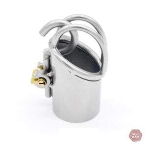 Accessoire de chasteté en métal, type Prince-Albert, élégant