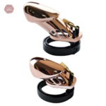 Cage de chasteté plastique GB 6000 en bronze