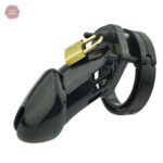 Cage de chasteté GB 6000, design compact et discret