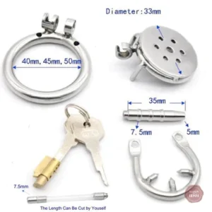 Dispositif de chasteté avec plug intégré