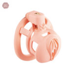 Cage de chasteté pour chatte modèle 3D