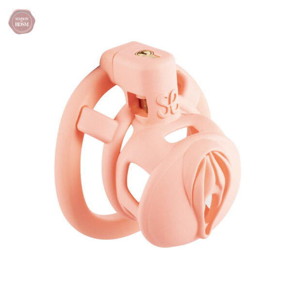 cage-de-chastete-pour-chatte-modele-3d-1 Cage de chasteté pour chatte modèle 3D
