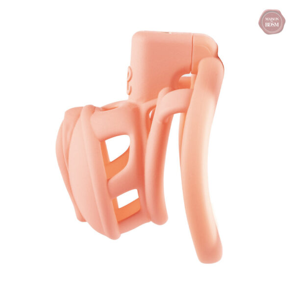 Modèle 3D de cage de chasteté pour chatte