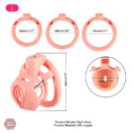 Cage de chasteté pour chatte, style moderne 3D