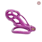 Cage de chasteté Cobra, style esclave