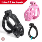Cage de chasteté Python 6.0 - Nouveau modèle