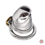 Cage de chasteté en acier inoxydable, design élégant