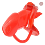 Cage de chasteté pour jeux de domination