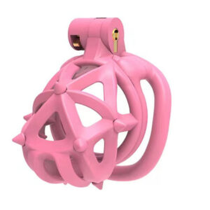 Cage de chasteté respirante à double tête 3D