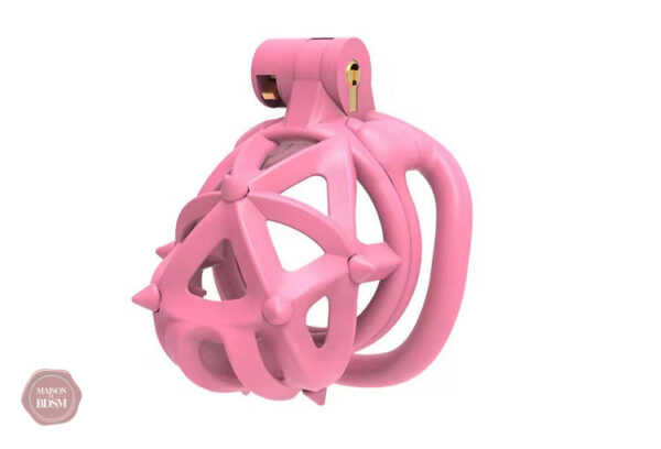 Cage de chasteté respirante à double tête 3D