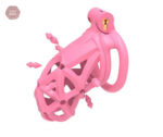 Cage de chasteté avec design respirant à double tête