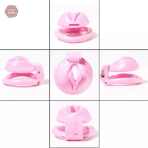 Accessoire de chasteté en forme de chatte