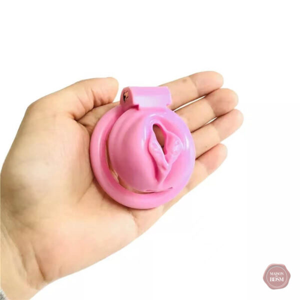 Cage de chasteté en forme de chat pour adultes