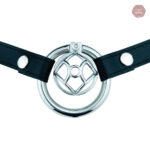 Cage de chasteté avec ceinture pour une immobilisation efficace