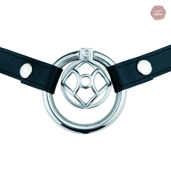 Cage de chasteté avec ceinture pour une immobilisation efficace