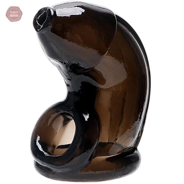 Cage de chasteté en silicone Delice Noir