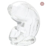 Cage de chasteté en silicone transparent