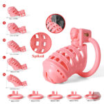Cage de chasteté Sissy Rose - 3D print